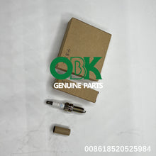 Load image into Gallery viewer, 18843 10062 Spark plug for hyundai kia 18843-10062