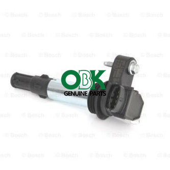 Ignition Coil For GM / BUICK /CHEVROLET 0221604112 1208081 1208734 12566569 12583514 12613057 12629037 71741133 71751445 71753911