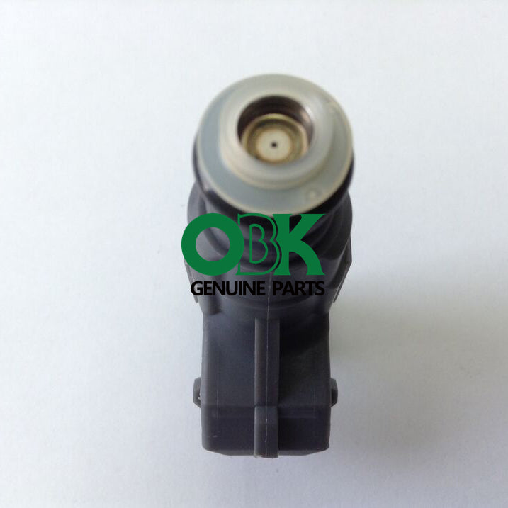 0280155721 Fuel Injector For Ford