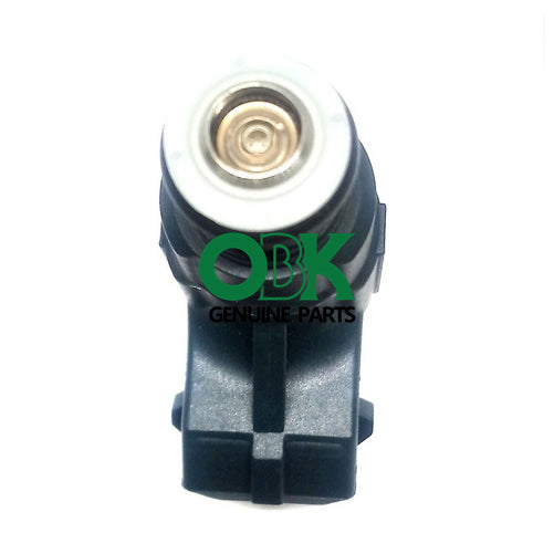 0280156424 fuel injector nozzle Fit for Chery BYD  0280156424