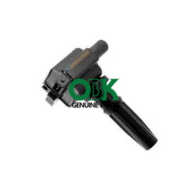 IGNITION COIL OE 1026102GAA