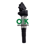 Ignition Coil For PEUGEOT CITROEN DS 12137575010  12137550012  597064  597091