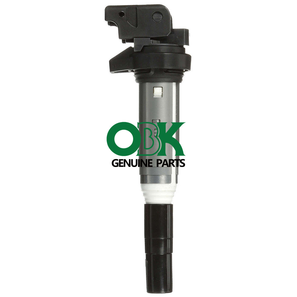 Delphi Ignition Coil for BMW 12138616153  GN1057112B1