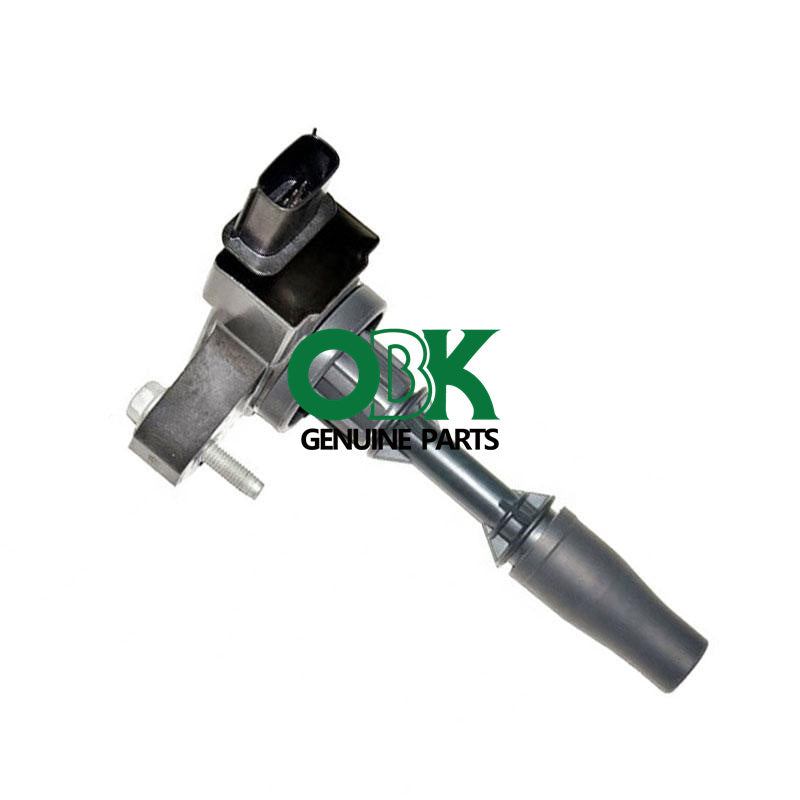 Ignition Coil For GM / BUICK /CHEVROLET 12654078 12652405 099700-218 C852