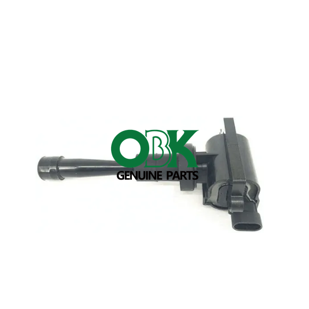 Ignition Coil For LANDWIND X5 OEM SWM251371