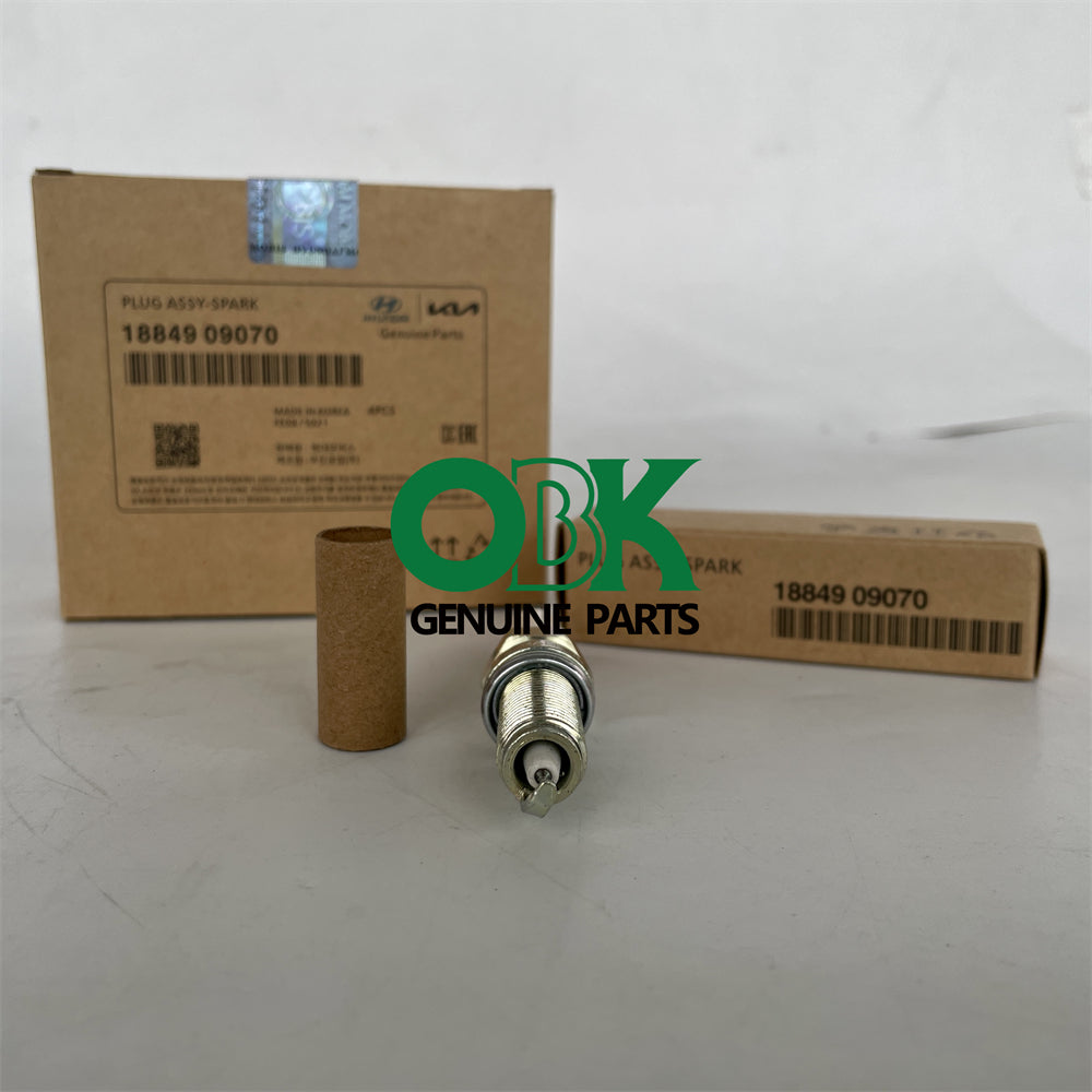 Spark Plug for Hyundai Kia 18849-09070