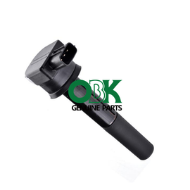 Ignition Coil 19005287