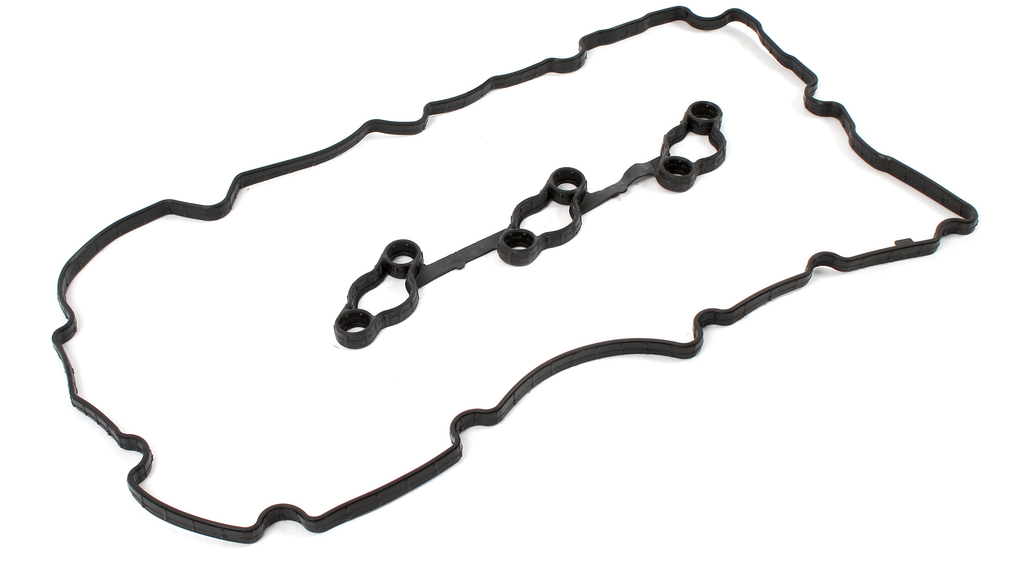 Reference photograph - 22441-3CGA1 right rocker-cover gasket set - whole oblique two-piece set, side profile