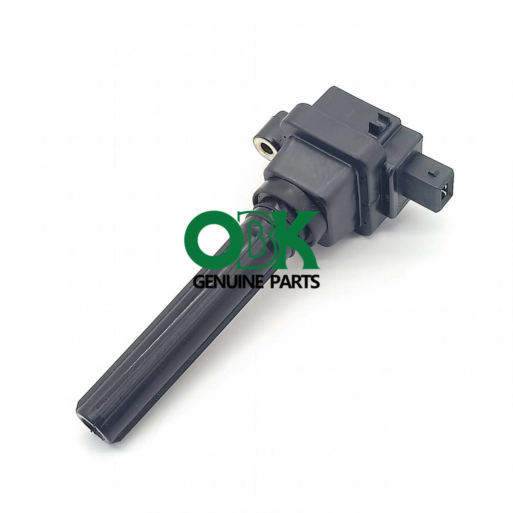 ignition coil 483Q-18100 for Hippocampal 3 Hippocampal 483Q 1.8