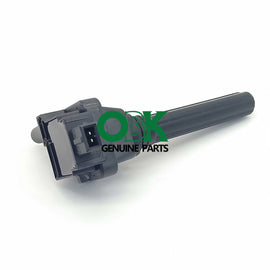 ignition coil 483Q-18100 for Hippocampal 3 Hippocampal 483Q 1.8
