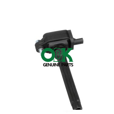 Ignition Coil C1791 E1148 5C1848 36-8196 2505-484816 UF648, 52-2186 0221504032