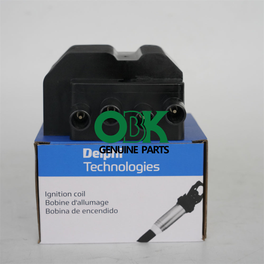 DELPHI DS10000-12B1 Ignition Coil