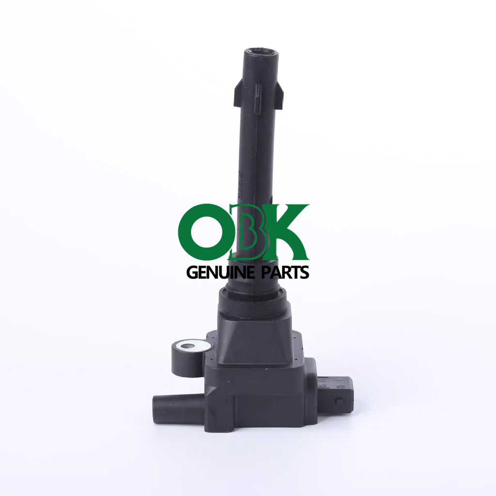 ignition coil for BYD F3 F01R00A011