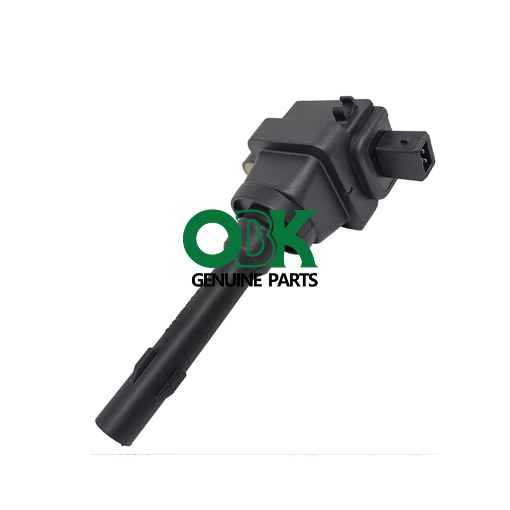 IGNITION COIL FOR SUZUKI LOTUS CHANGAN F01R00A020 SW803844
