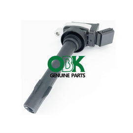 Ignition Coil F01R00A03