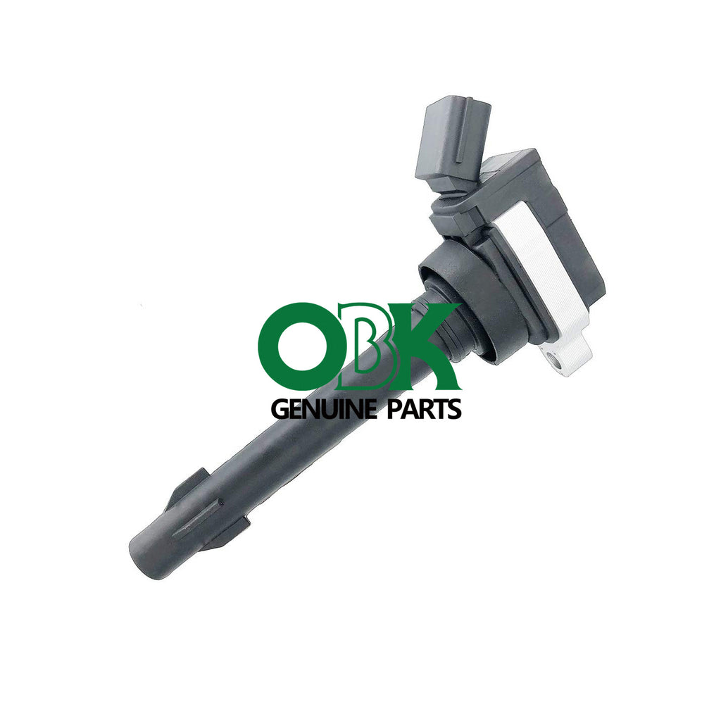 Ignition Coil F01R00A03