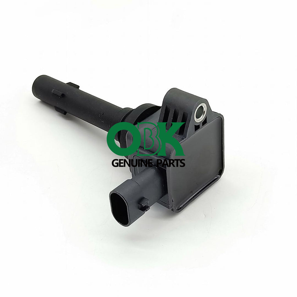 Ignition Coil F01R00A090