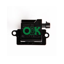 Görseli Galeri görüntüleyiciye yükleyin, Ignition Coil K00165023 FOR Haval H5 K00165023