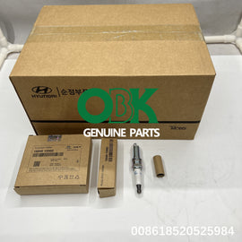 18846 10060 Spark plug for hyundai kia 18846-10060