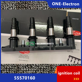 55570160 Ignition Coil for GM