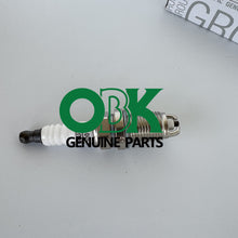 Görseli Galeri görüntüleyiciye yükleyin, Renault Spark Plug 7700500168