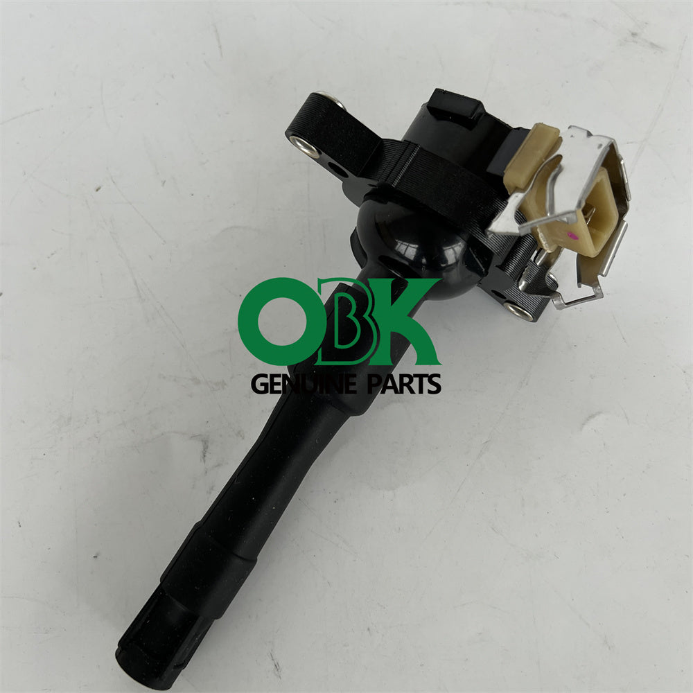 Delphi GN10016 Direct Ignition Coil