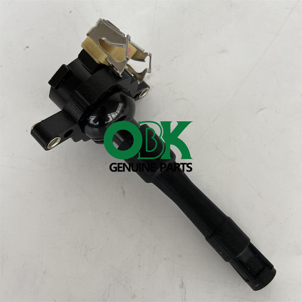 Delphi GN10016 Direct Ignition Coil