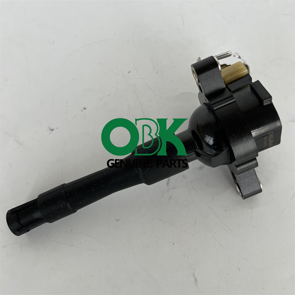 Delphi GN10016 Direct Ignition Coil