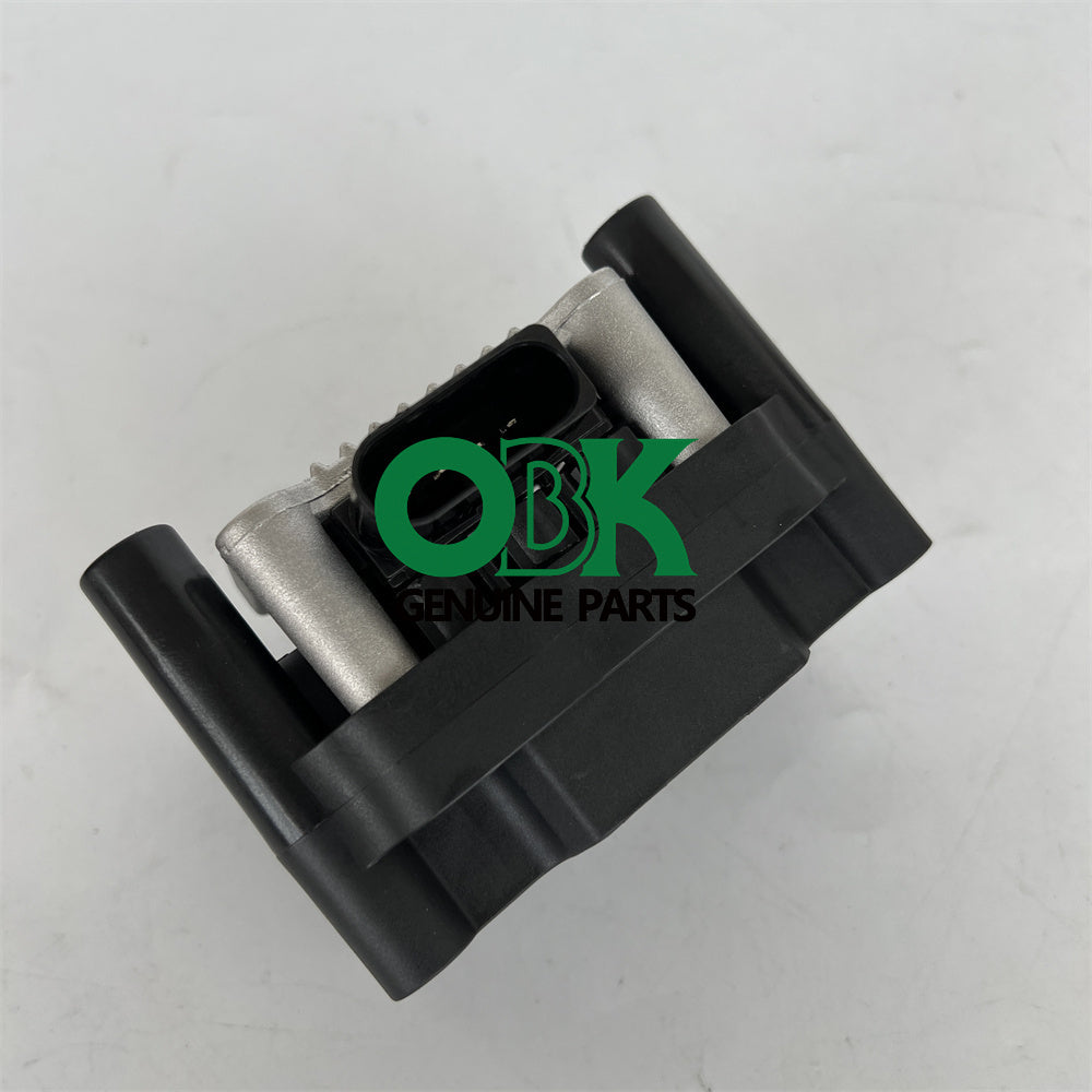 DELPHI GN10018-12B1 Ignition Coil