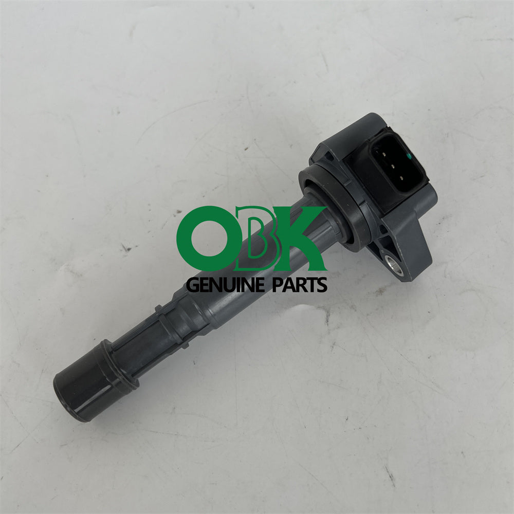 Delphi GN10168, ignition coil