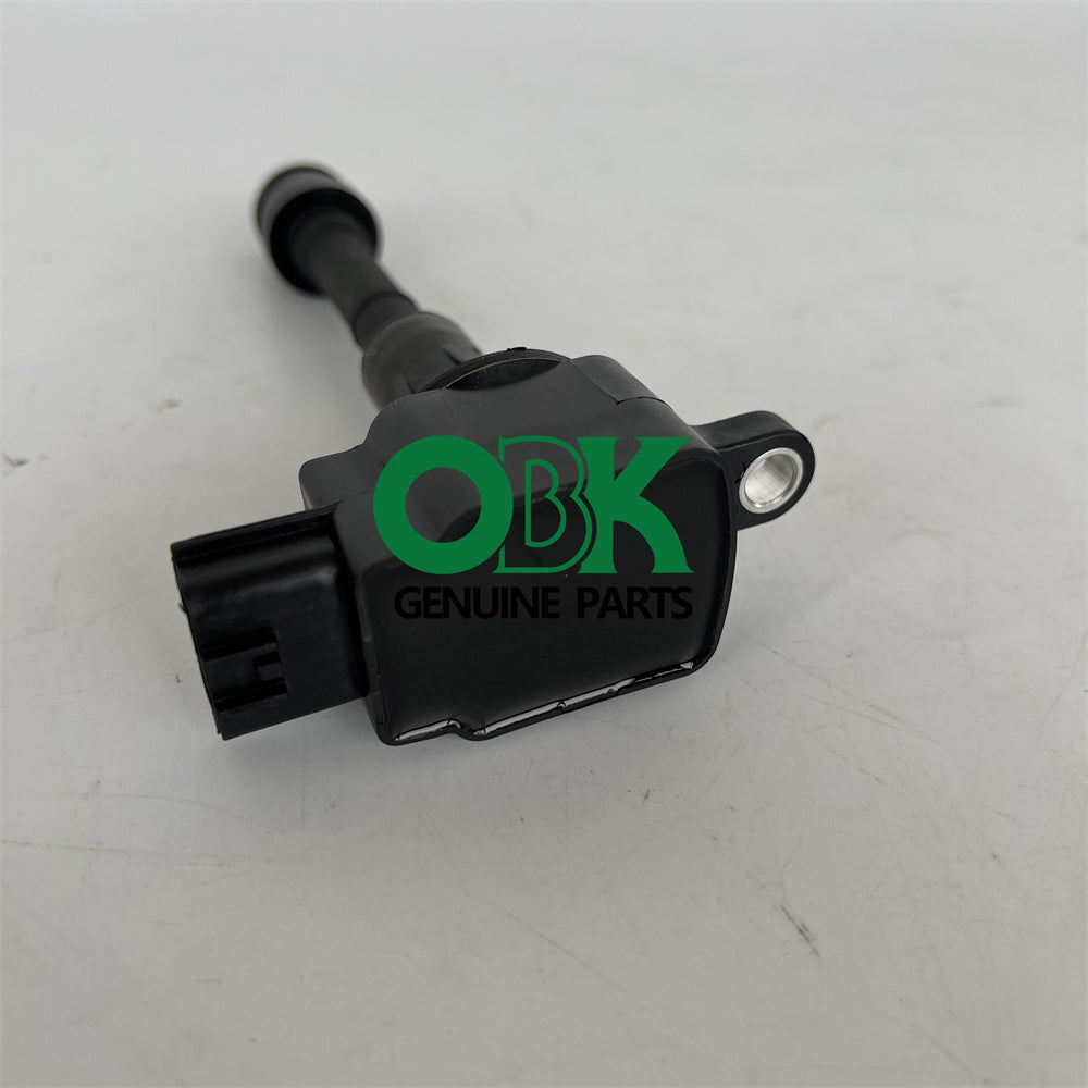 Ignition coil DELPHI GN10219-12B1