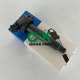 Delphi GN10313 Ignition Coil