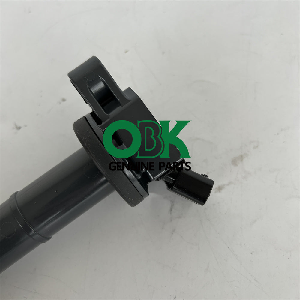 Delphi GN10313 Ignition Coil