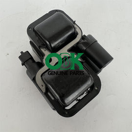 Delphi GN10361 - Ignition Coil