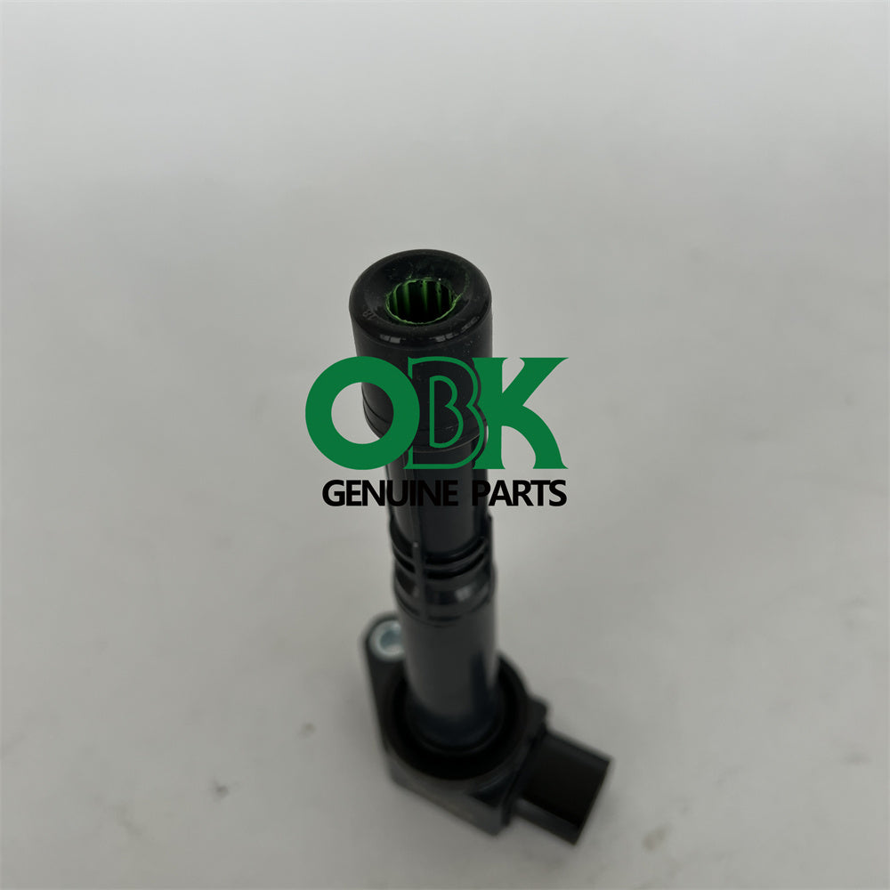 Delphi Ignition Coils GN10370-11B1