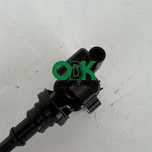 Load image into Gallery viewer, Delphi GN10384 Plug Top - Ignition Coil