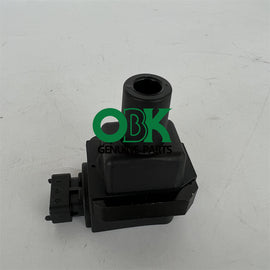 Ignition Coil Delphi GN10404