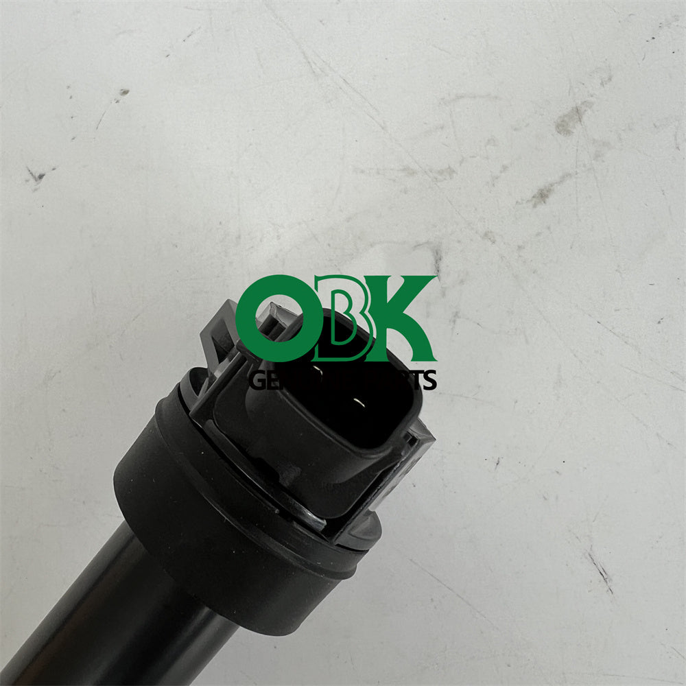 DELPHI GN10663 - Ignition Coil