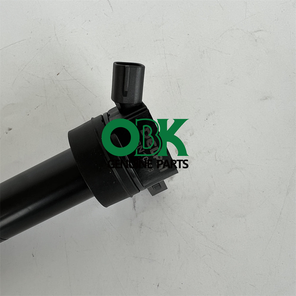 DELPHI GN10663 - Ignition Coil