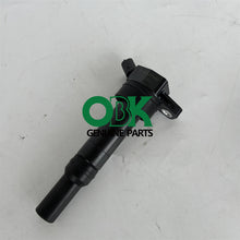 Load image into Gallery viewer, DELPHI GN10663 - Ignition Coil