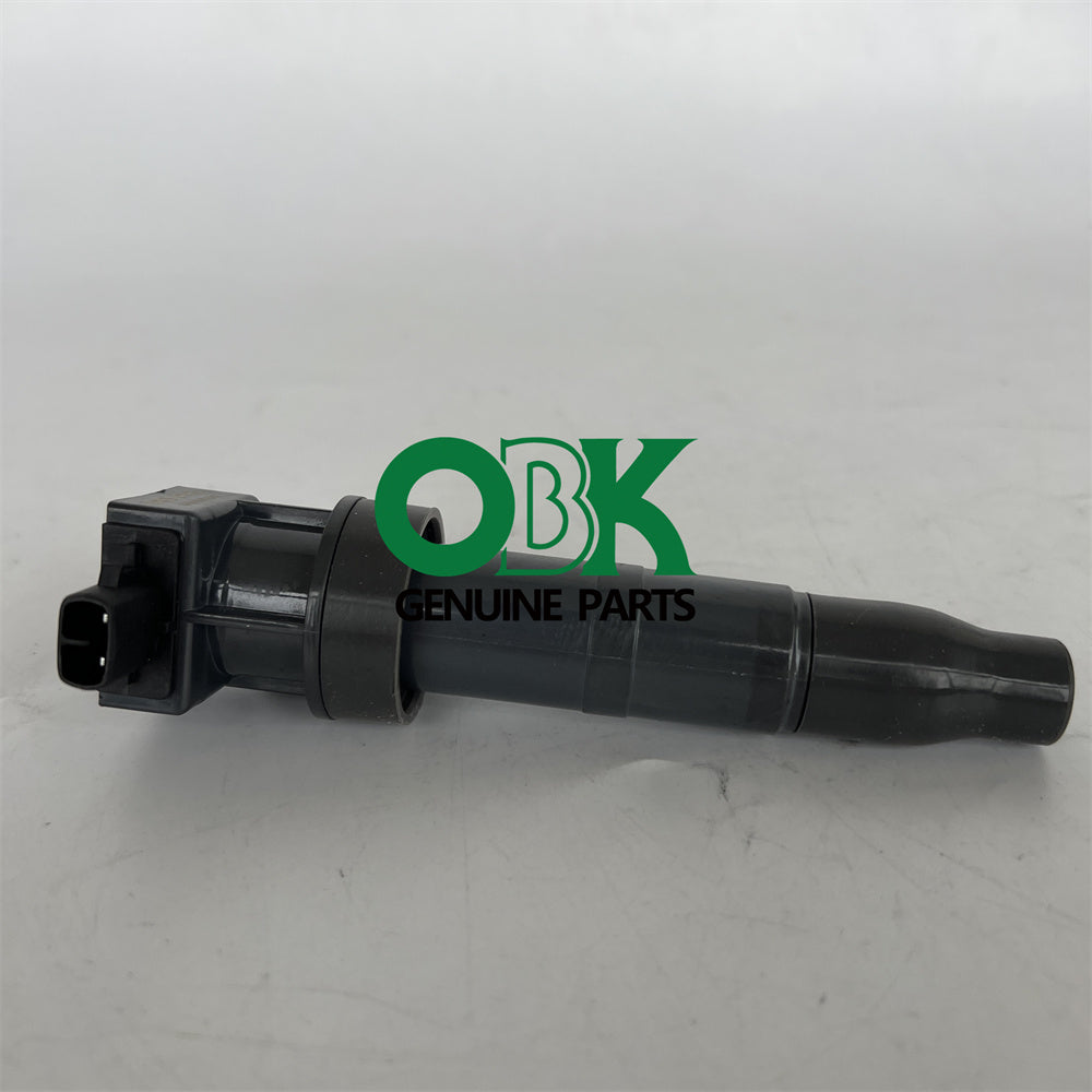 Delphi Ignition Coils GN110560